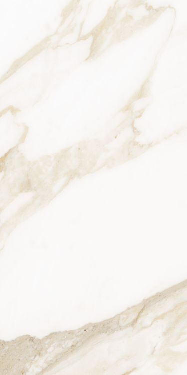 Classy Warm White Matte 12 x 24